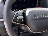 Skoda Karoq - Vorschau Bild 14