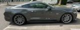 Ford Mustang 5.0 Ti-VCT V8 GT GT - Ford Mustang in Mannheim