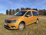 Volkswagen Caddy Maxi 4Motion 2.0TDI DSG AHK 7-Sitzer - Volkswagen Caddy Maxi: 4motion