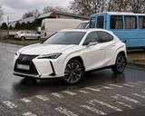 Lexus UX 250h AWD Luxury Line HUD, Schiebedach - Lexus UX: Luxury Line