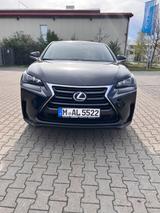 Lexus NX 300 300h Executive Line - Lexus aus 2016
