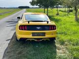 Ford Mustang 2.3 EcoBoost - - : Coupe, Gelb