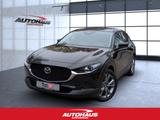 Mazda CX-30 2.5 e-SKYACTIV-G Exclusive-Line 2WD Navi - Mazda CX-30 Exclusive-Line mit Benzin-Antrieb