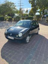 Volkswagen Lupo 1.4 44kW Basis Basis - Volkswagen Lupo in Hamburg