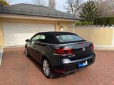 Volkswagen Golf 1.4 TSI 90 kW Cabriolet - - Firmenfahrzeug gebraucht