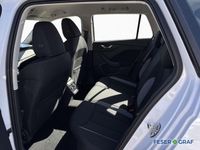 Skoda Kamiq - Vorschau Bild 13