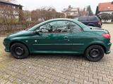 Peugeot 206 Cabriolet CC Roland Garros - Peugeot 206: Grün
