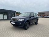 Land Rover Freelander 2 XS TD4 4x4 1HD AHK BI-XENON - Land Rover Freelander Gebrauchtwagen