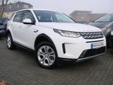 Land Rover Discovery Sport P300e Hybrid S AWD LED 360º Lede - Land Rover Discovery Sport mit Hybrid-Antrieb