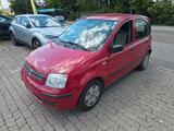 Fiat Panda 1.2 8V Dynamic * Kein Tüv *  Alu * - gebrauchte Fiat Panda aus dem Jahr 2008