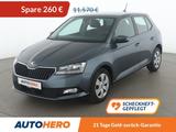 Skoda Fabia 1.0 TSI Ambition*TEMPO*SHZ*KLIMA*TOUCH* - Skoda Fabia Gebrauchtwagen in Nürnberg