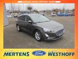 Ford Focus C & C 1.0 Navi Kamera Winter-Paket PDC - Ford Focus Gebrauchtwagen in Hamm