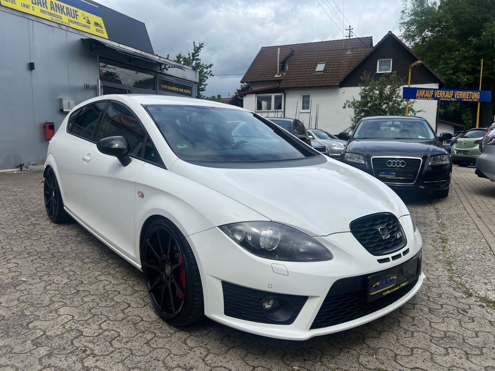 Fahrzeugabbildung SEAT Leon Cupra R *H&R*BULX*