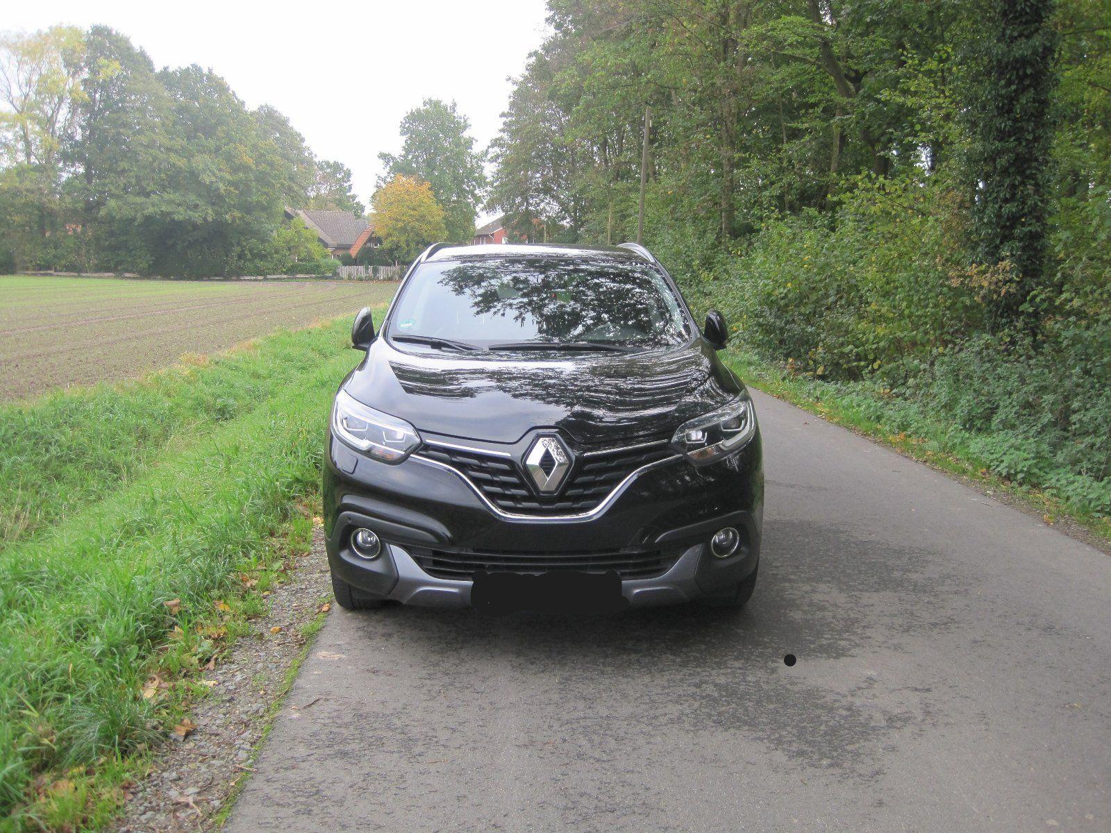 Renault Andere
