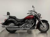 Suzuki VL 800 C *1. Hand*Service neu* - SUZUKI VL 800