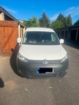 Volkswagen VW Caddy 1,6 TDI - Volkswagen Caddy: Kleinwagen