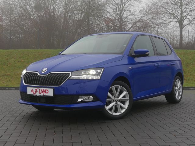 Skoda Fabia 1.0 TSI Clever LED Sitzheizung ACC PDC DAB