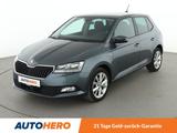 Skoda Fabia 1.0 TSI Clever*APP*ACC*SHZ*KLIMA*ALU* - Skoda Fabia Gebrauchtwagen in München
