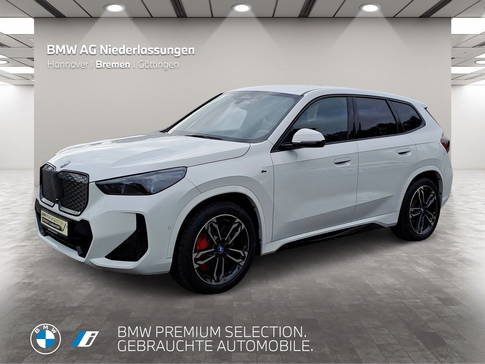 BMW iX1 xDrive30 M Sport Driv.Assist Head-Up LED foto 1