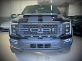 Ford F 150/3.5/V6/4X4/PLATINUM - Ford F 150: 4.6