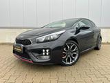 Kia pro cee'd GT-Track Kamera/Navi/Pano/Leder - Kia: Sportwagen, Pro Cee D