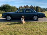 Jaguar Daimler Double Six - Top Sammler - 100% Original - Jaguar: 10