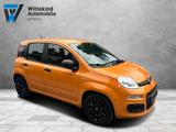 Fiat Panda Easy Klima - Fiat: Orange