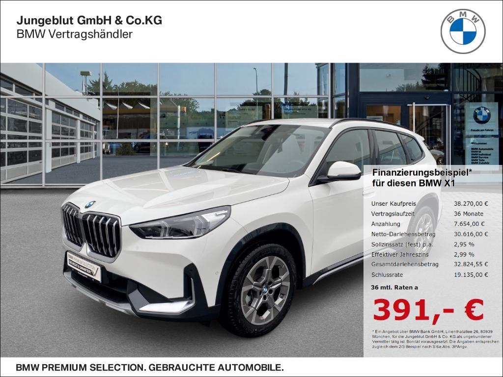 BMW X1 18i sDrive xLine Park-Assistent/AHK/ParkAssis