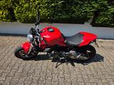 Ducati Monster 821 rot - DUCATI MONSTER