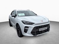 Cupra Terramar - Vorschau Bild 3