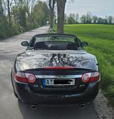 Jaguar XK 4.2L V8 Cabriolet - Vollausstattung   - Jaguar XK von privat