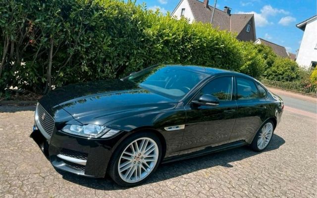 Jaguar xf 3.0 d R-Sport 8fach bereift