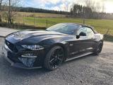 Ford Mustang 5.0 V8 Black Shadow 1. Hand Checkheft!! - Ford Mustang Black Gebrauchtwagen