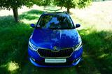 Skoda Fabia Combi Ambition SHZ TEMP. APP - Skoda Fabia in Kiel
