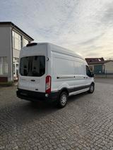 Ford Transit Kasten 350 L3 Trend - Ford Kastenwagen hoch + lang Transit 350