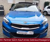 Kia XCeed 1.6 CRDi Platinum Edition ACC Vollleder - Kia XCeed Diesel Gebrauchtwagen