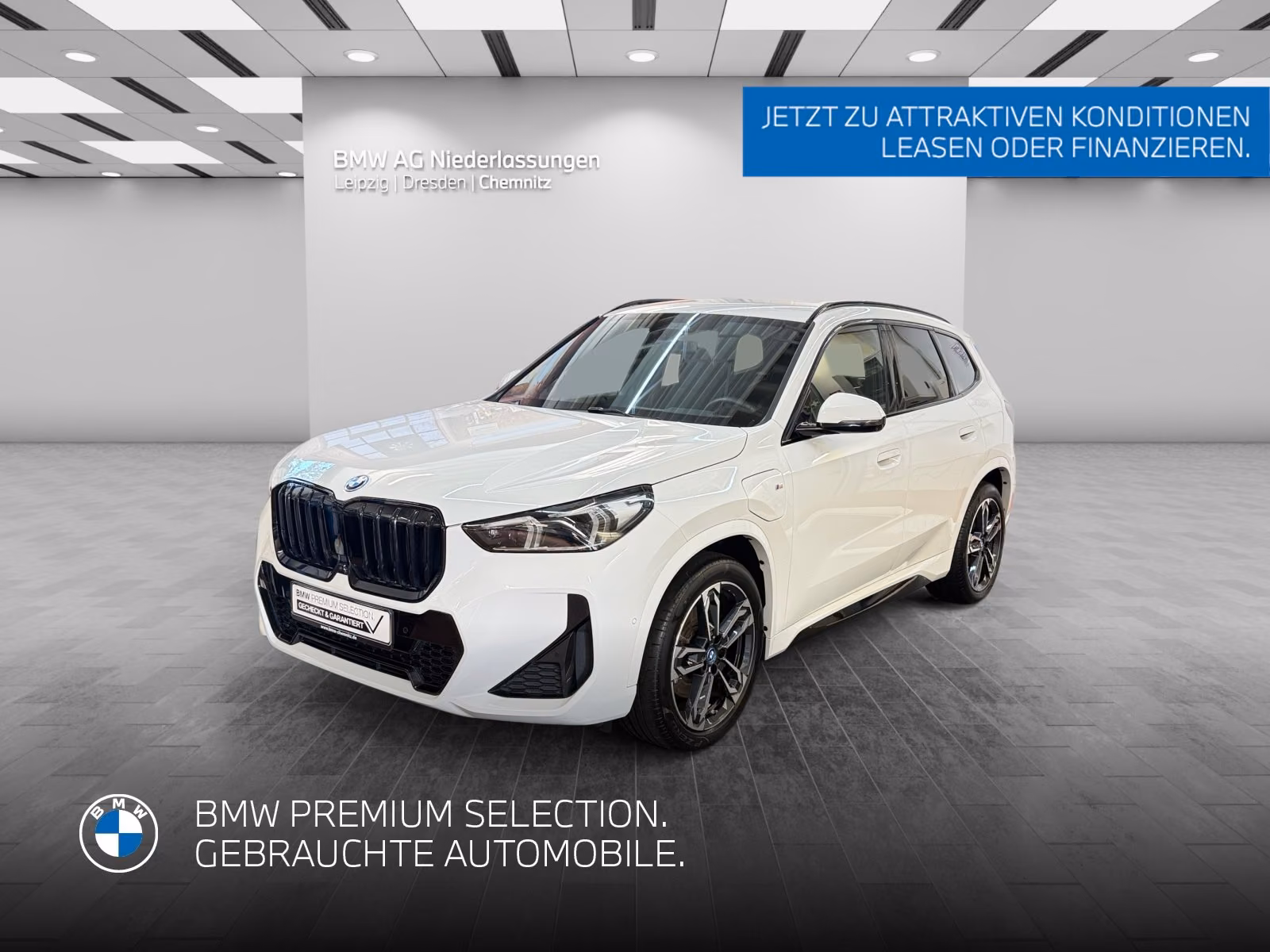 BMW X1 xDrive30e M Sport Driv.Assist.Prof Harman/K