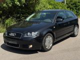 Audi A3 2.0 TDI S-LINE/KLIMA/1.HAND/EURO4/164TKM/SH - Audi A3 aus 2003: 2.0