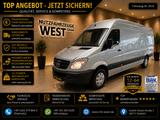 Mercedes-Benz Sprinter 313 CDI Maxi Hoch+Lang*Garantie* - Mercedes-Benz Sprinter: Maxi