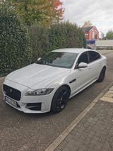 Jaguar XF 30d 300PS Prestige Automatik Prestige - Jaguar XF: Weiß