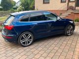 Audi SQ5 3.0 TDI tiptronic quattro - - gebrauchte Audi SQ5 aus dem Jahr 2013