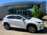 Lexus NX 300 h E-Four Executvie Line, P-Navi, ACC, SHZ - Lexus Gebrauchtwagen in Braunschweig