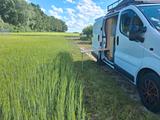 Opel Vivaro Van Camper Wohnmobil - Wohnmobil oder -wagen Vivaro