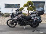 Triumph Tiger 800 XCx Low - Offers