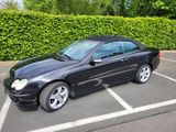 Mercedes-Benz CLK 500 Avantgarde Cabrio 5.0l V8 - Mercedes-Benz CLK 500 aus 2004