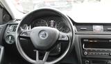 Skoda Rapid 1.2 TSI 77kW Active Active - Skoda Rapid Active mit Benzin-Antrieb