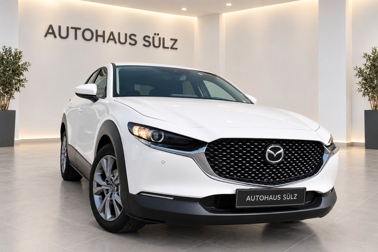 Mazda CX-30 Basis 2WD