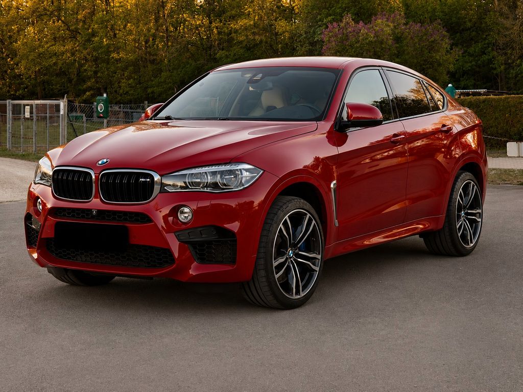 Image of BMW X6 M