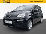 Fiat Pandina 1.0 GSE Hybrid 48 kW Icon - schwarze Fiat New Panda