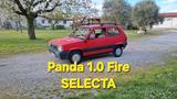 Fiat Panda 1100 i.e. cat Selecta A/FF/ARE - Fiat Panda: Selecta